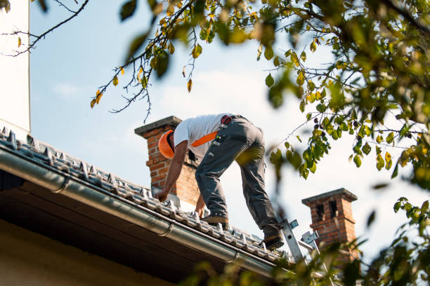 Best Roof Moss and Algae Removal  in Halifax, VA