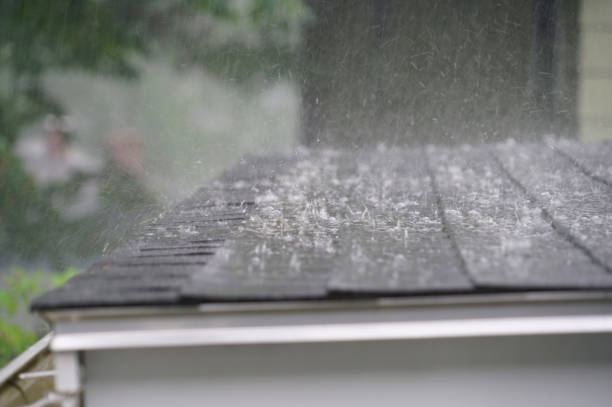 Best Emergency Roof Repair Services  in Halifax, VA