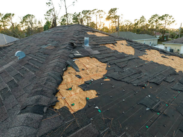 Best Storm Damage Roof Repair  in Halifax, VA